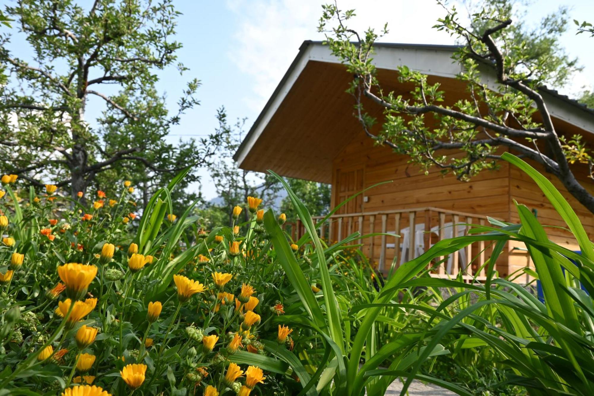 Cascade Mountain Retreat Manali Bed and Breakfast Εξωτερικό φωτογραφία
