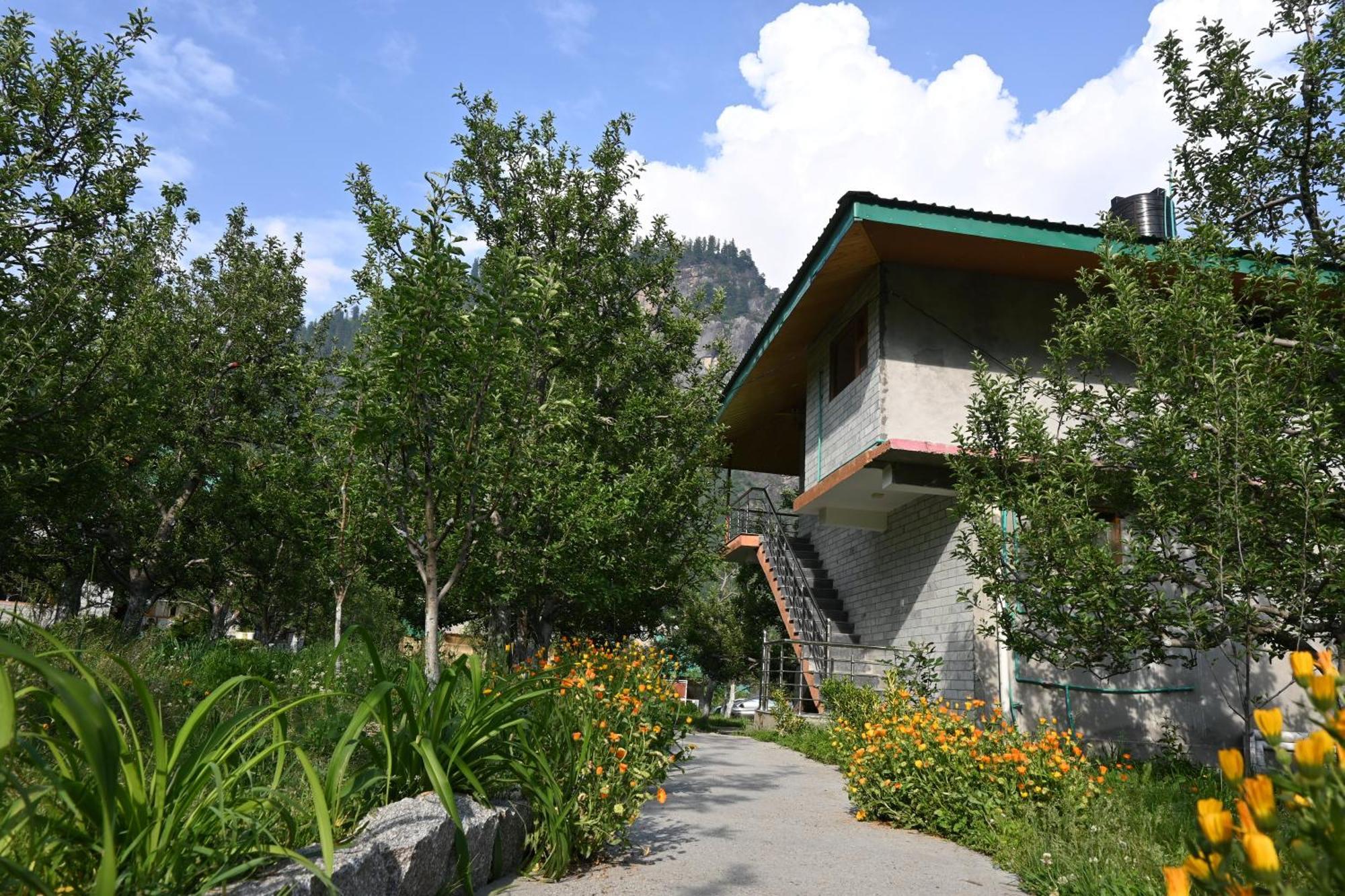 Cascade Mountain Retreat Manali Bed and Breakfast Εξωτερικό φωτογραφία