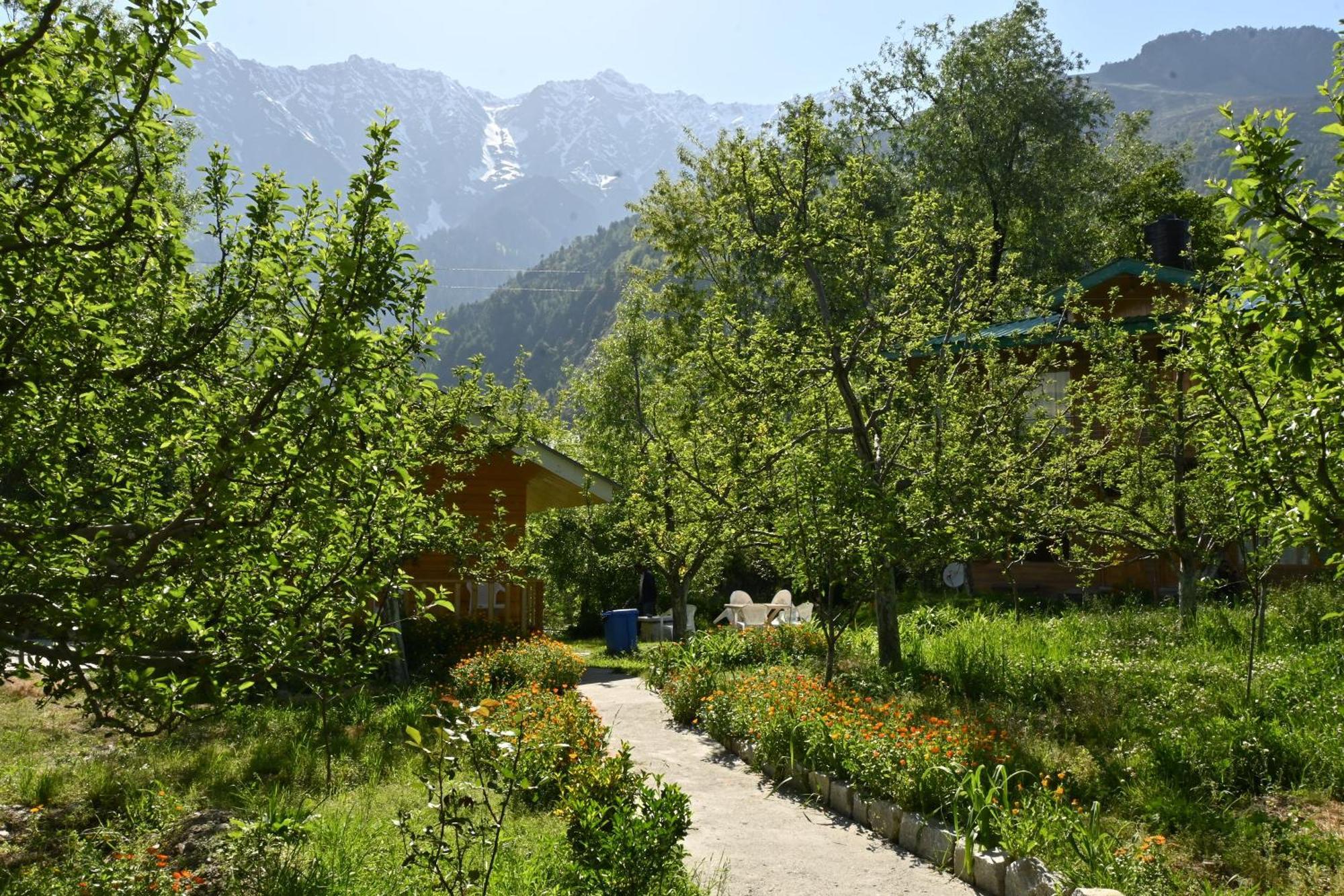 Cascade Mountain Retreat Manali Bed and Breakfast Εξωτερικό φωτογραφία